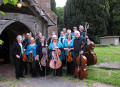 Volante Strings